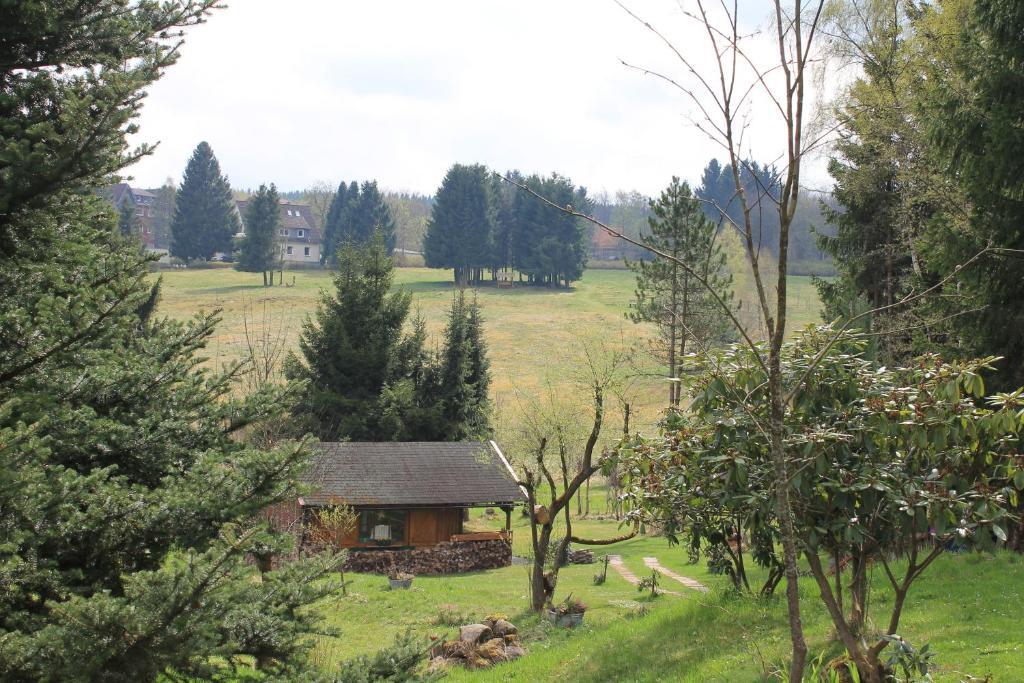 Hotel Zur Erholung Braunlage Eksteriør bilde